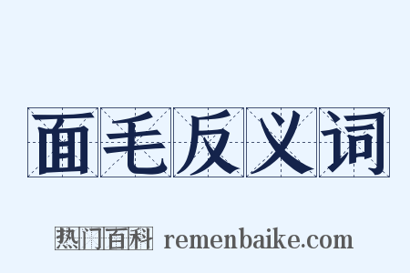 面毛反义词是什么意思的图片